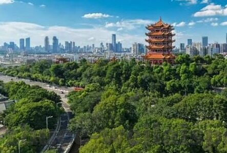 迅赢足球比分直播-探秘迅赢足球比分直播，球迷的实时观赛新体验