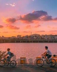 足球南韩比分直播-足球盛宴，南韩比分直播背后的激情与期待